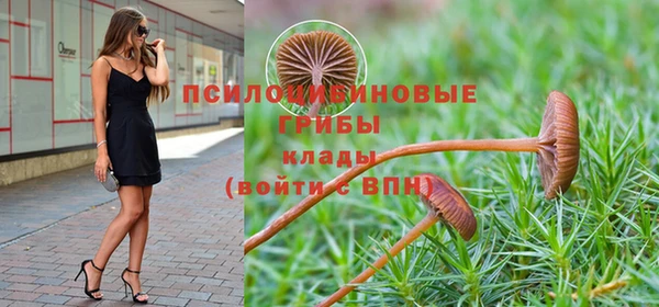 амф Абдулино